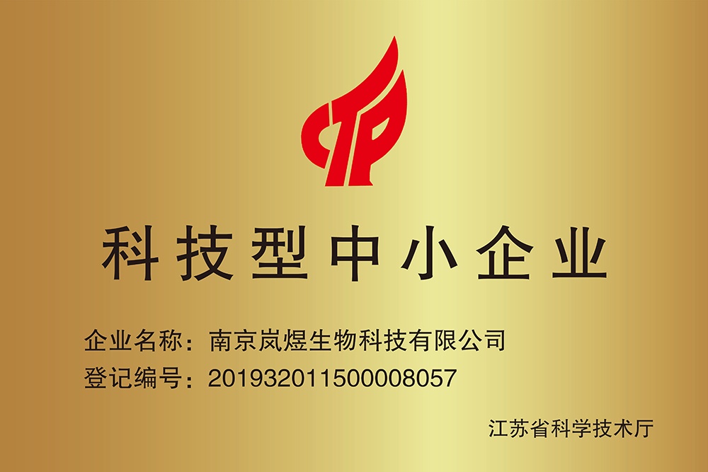 科技型中小企業銅牌