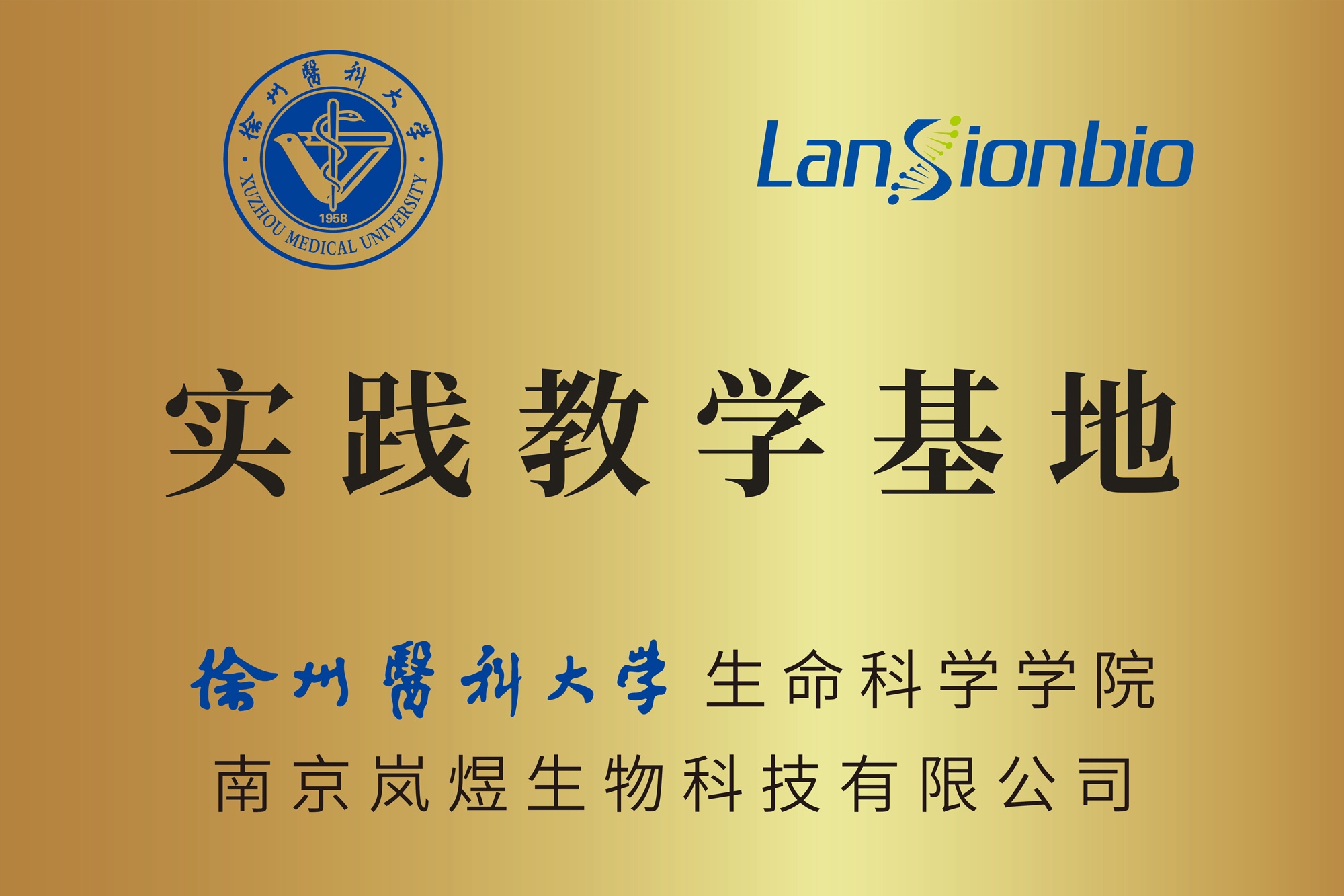 銅牌徐州醫科大