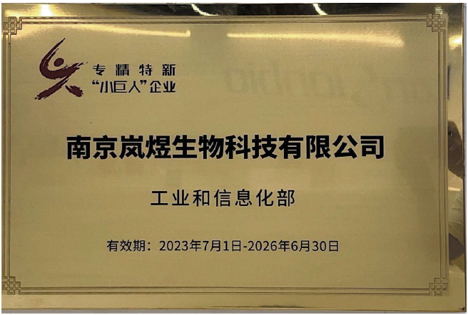國家級專精特新小巨人